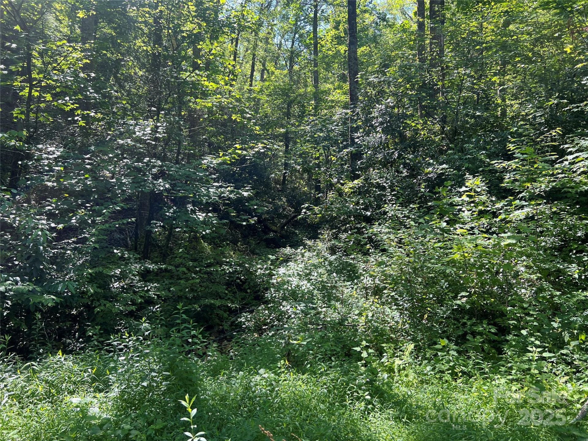 100 Mountain Field Lane - Photo 11