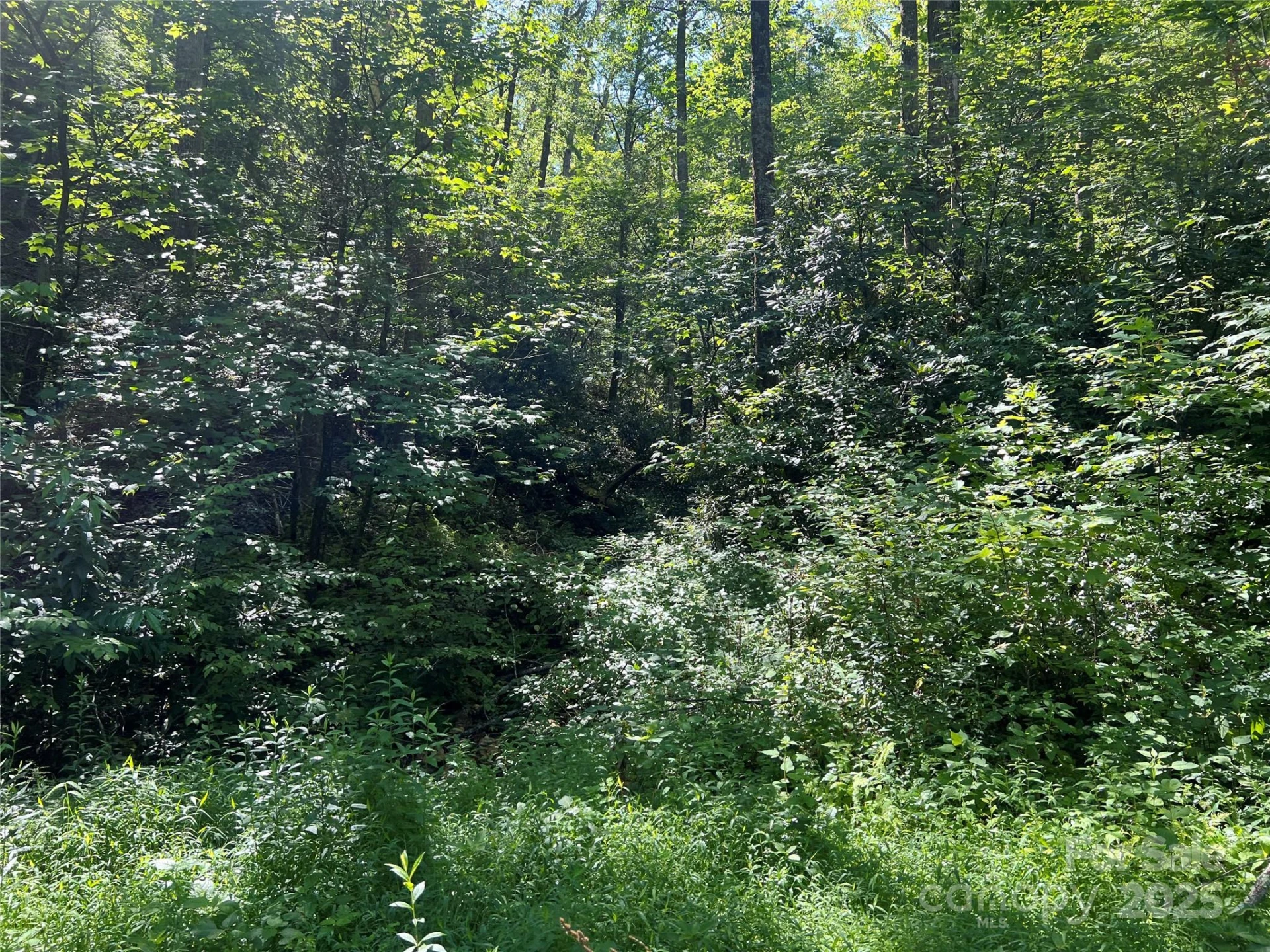 100 Mountain Field Lane - Photo 11