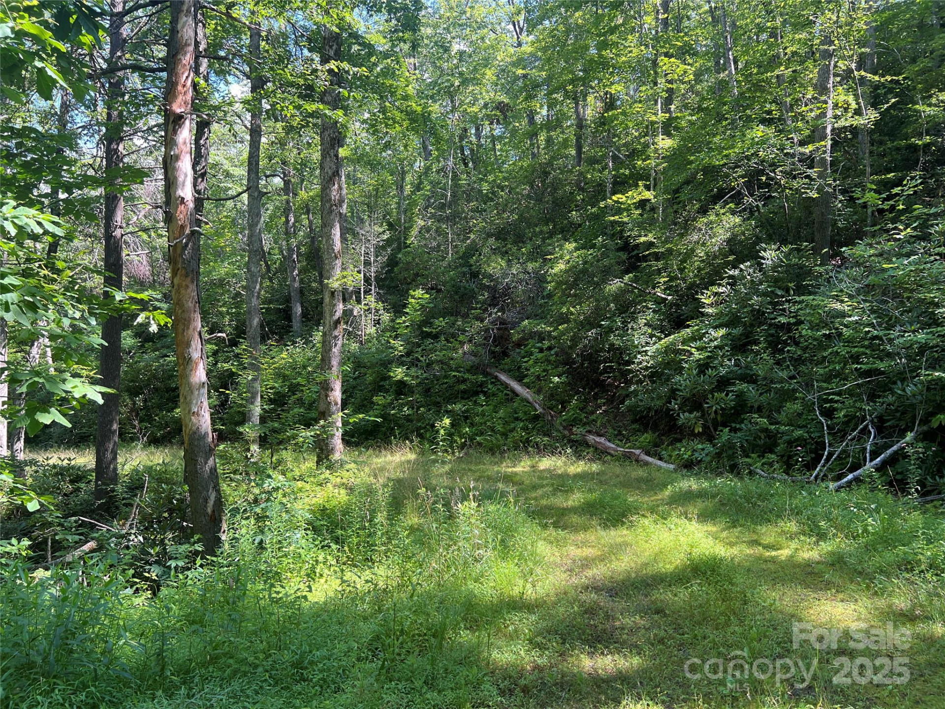 100 Mountain Field Lane - Photo 12