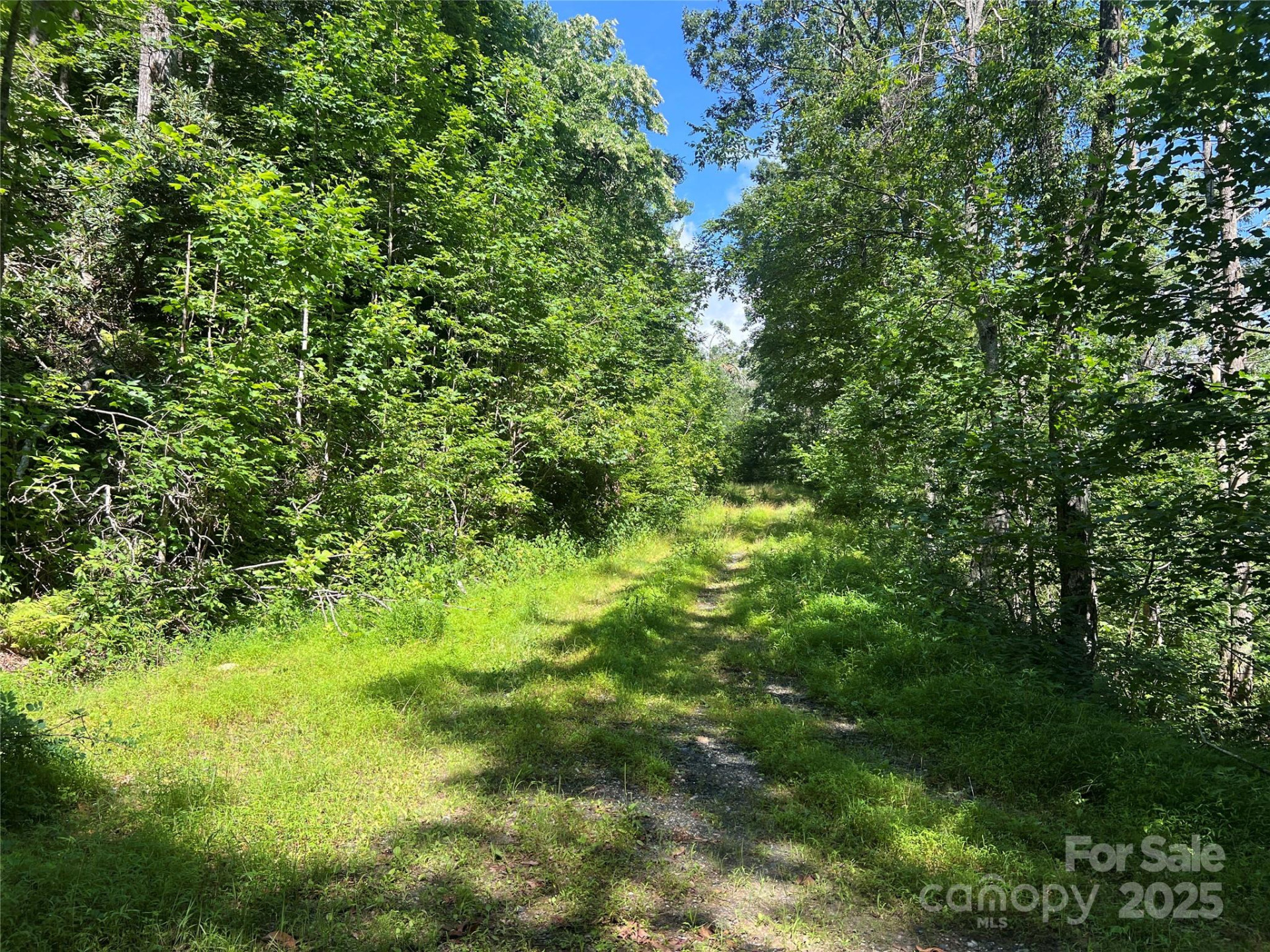100 Mountain Field Lane - Photo 13
