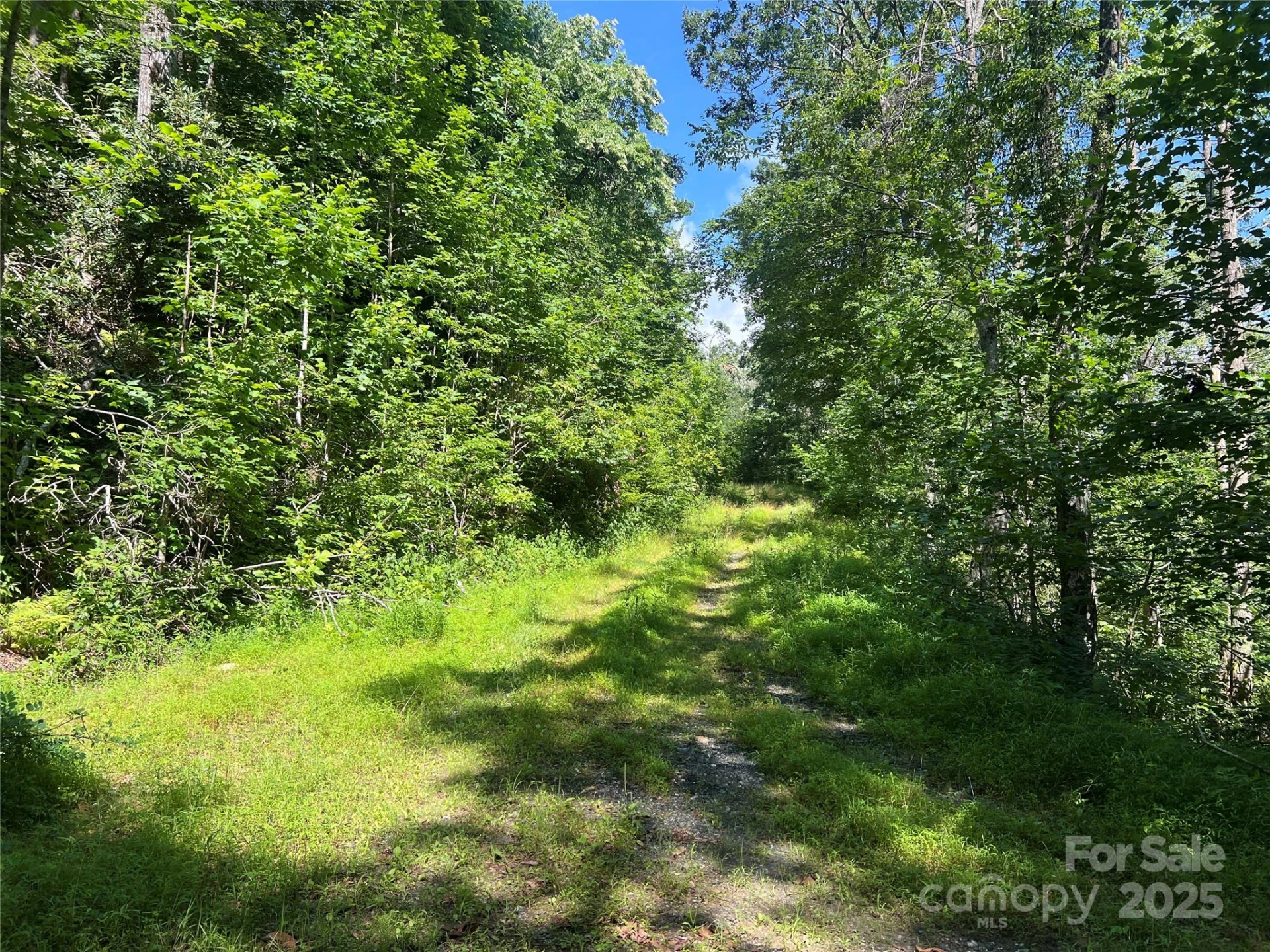 100 Mountain Field Lane - Photo 13
