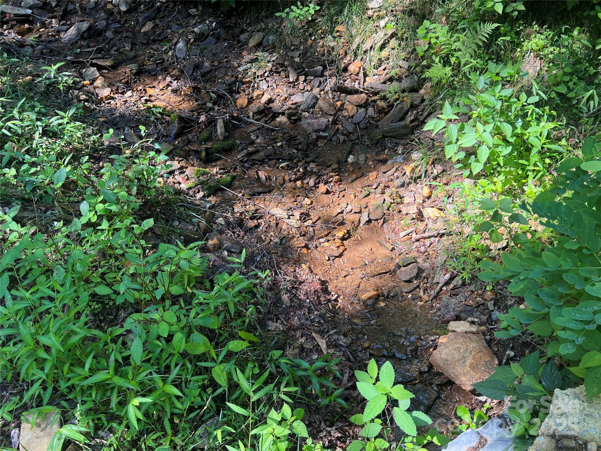 100 Mountain Field Lane - Photo 14