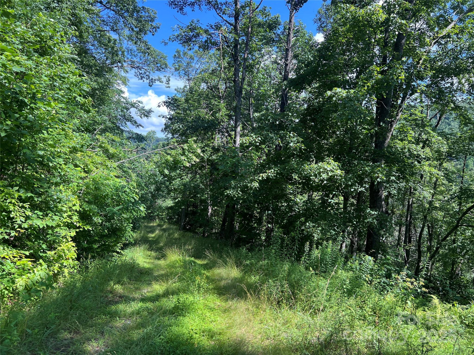 100 Mountain Field Lane - Photo 15