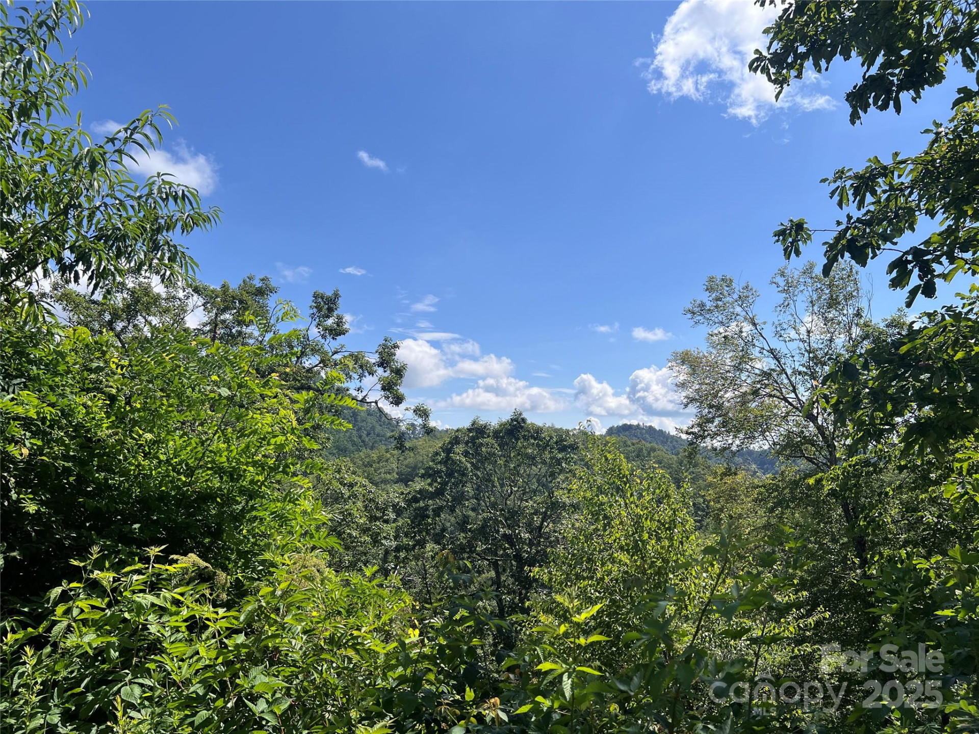 100 Mountain Field Lane - Photo 16