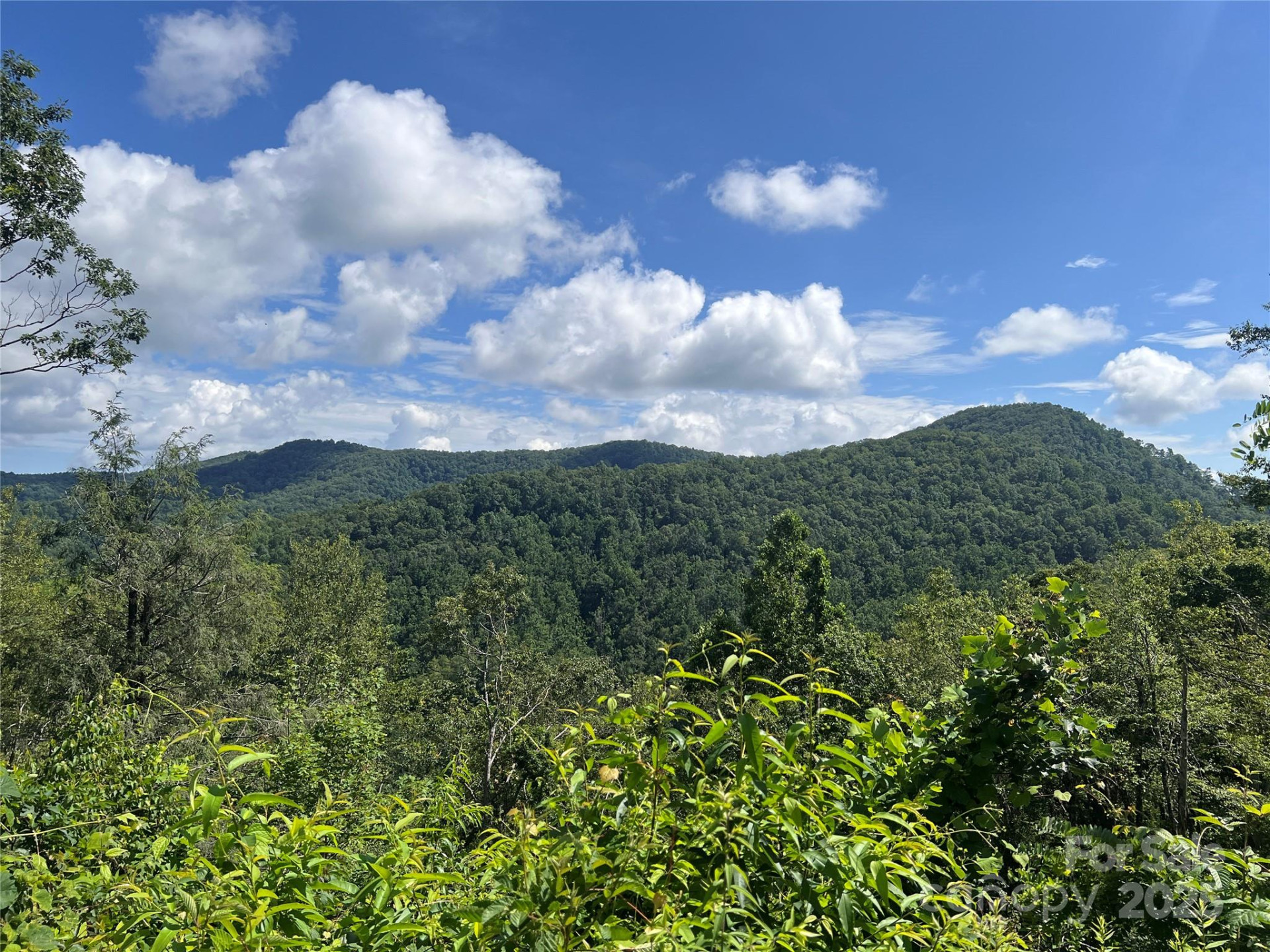 100 Mountain Field Lane - Photo 17