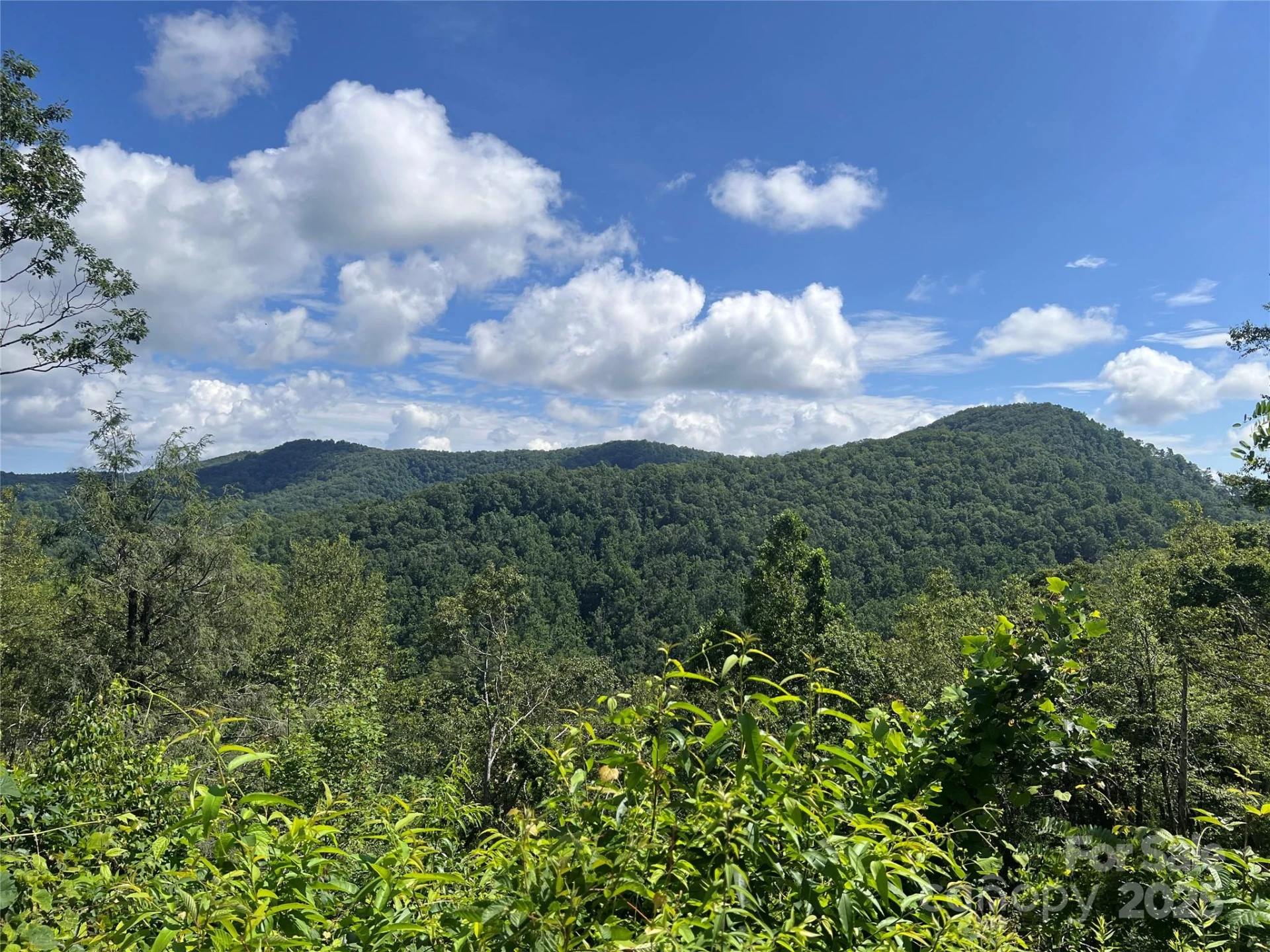 100 Mountain Field Lane - Photo 17