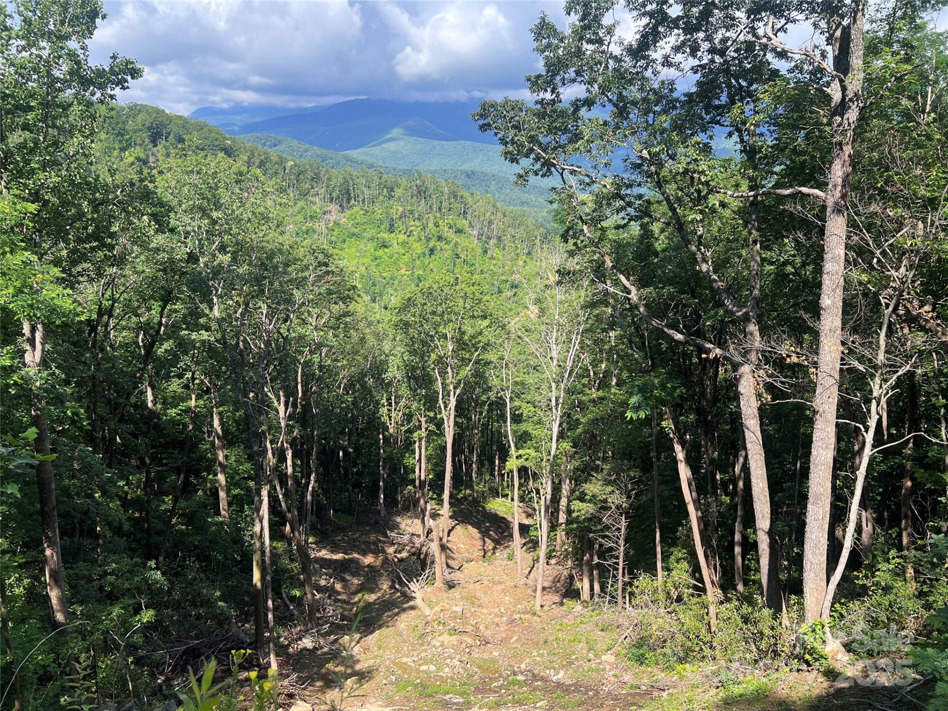 100 Mountain Field Lane - Photo 18