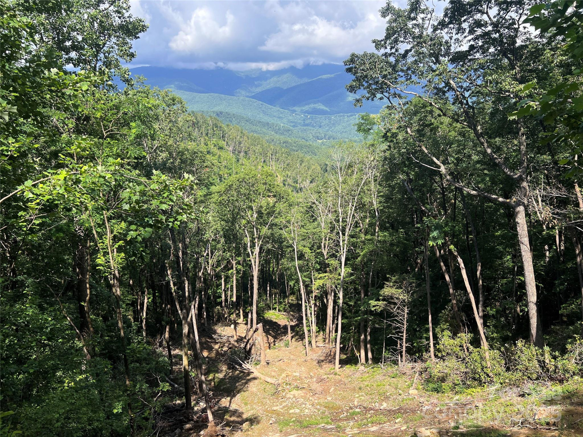 100 Mountain Field Lane - Photo 20