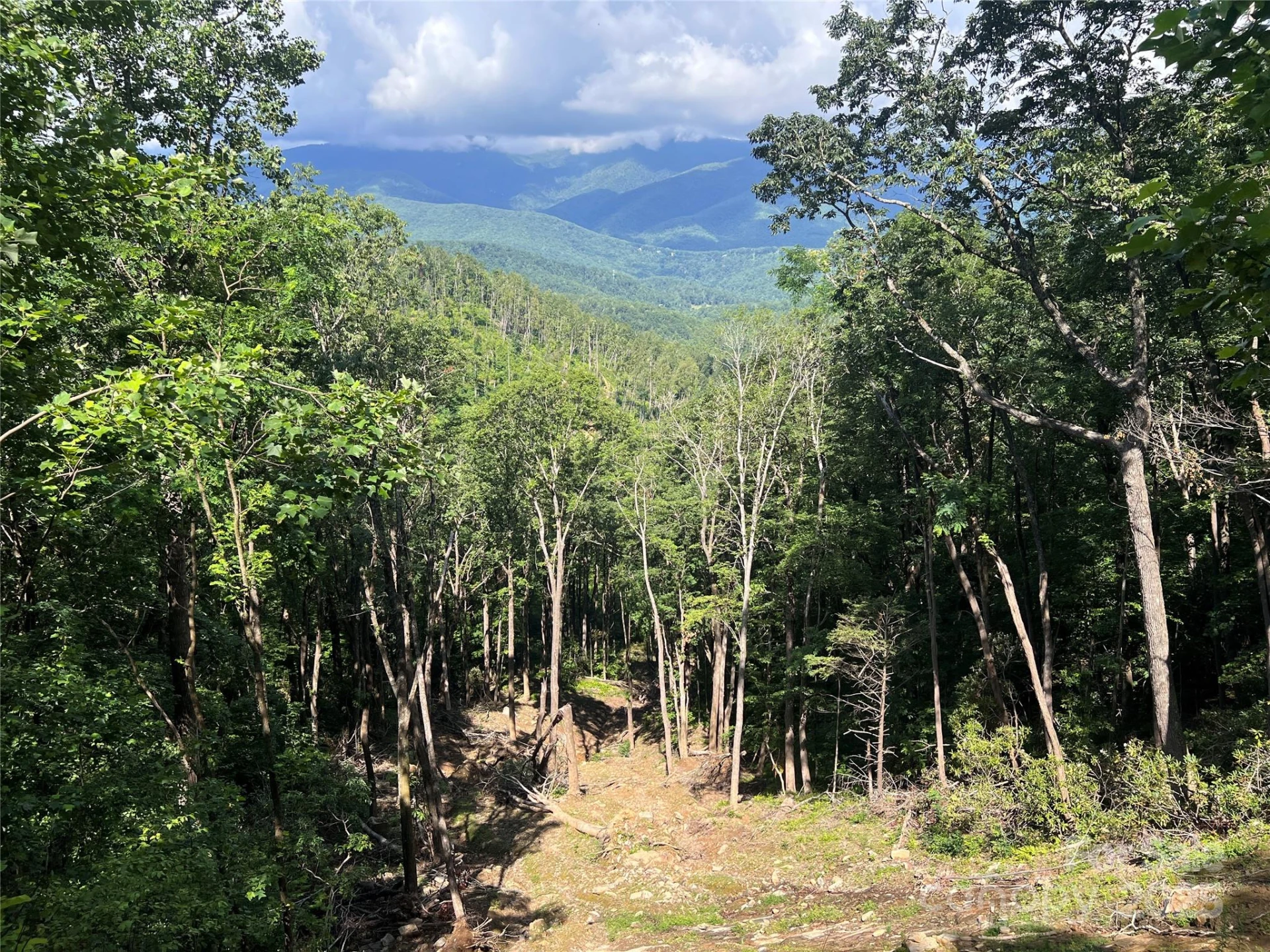 100 Mountain Field Lane - Photo 20