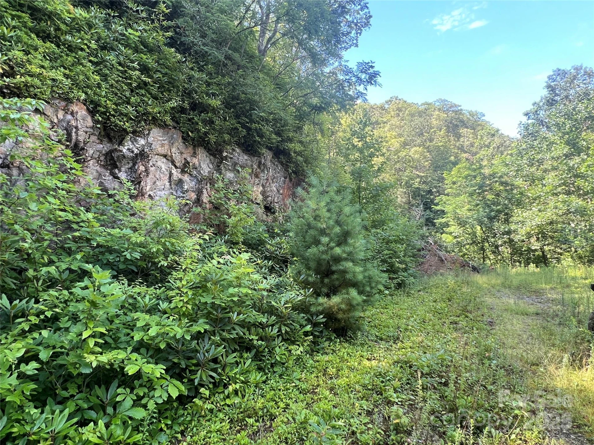 100 Mountain Field Lane - Photo 21