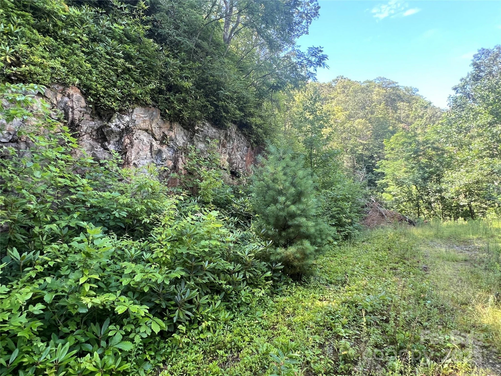100 Mountain Field Lane - Photo 22