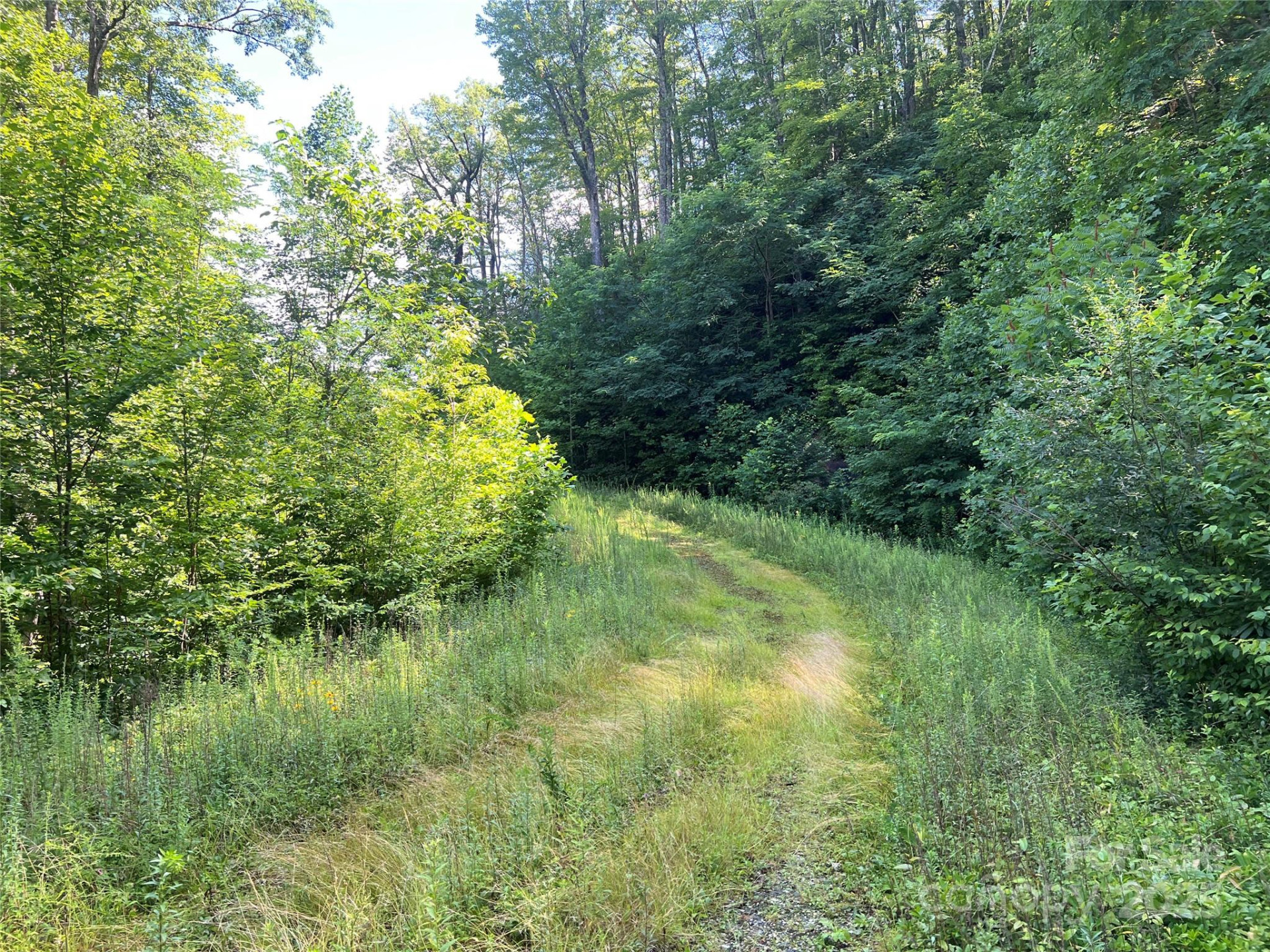 100 Mountain Field Lane - Photo 23