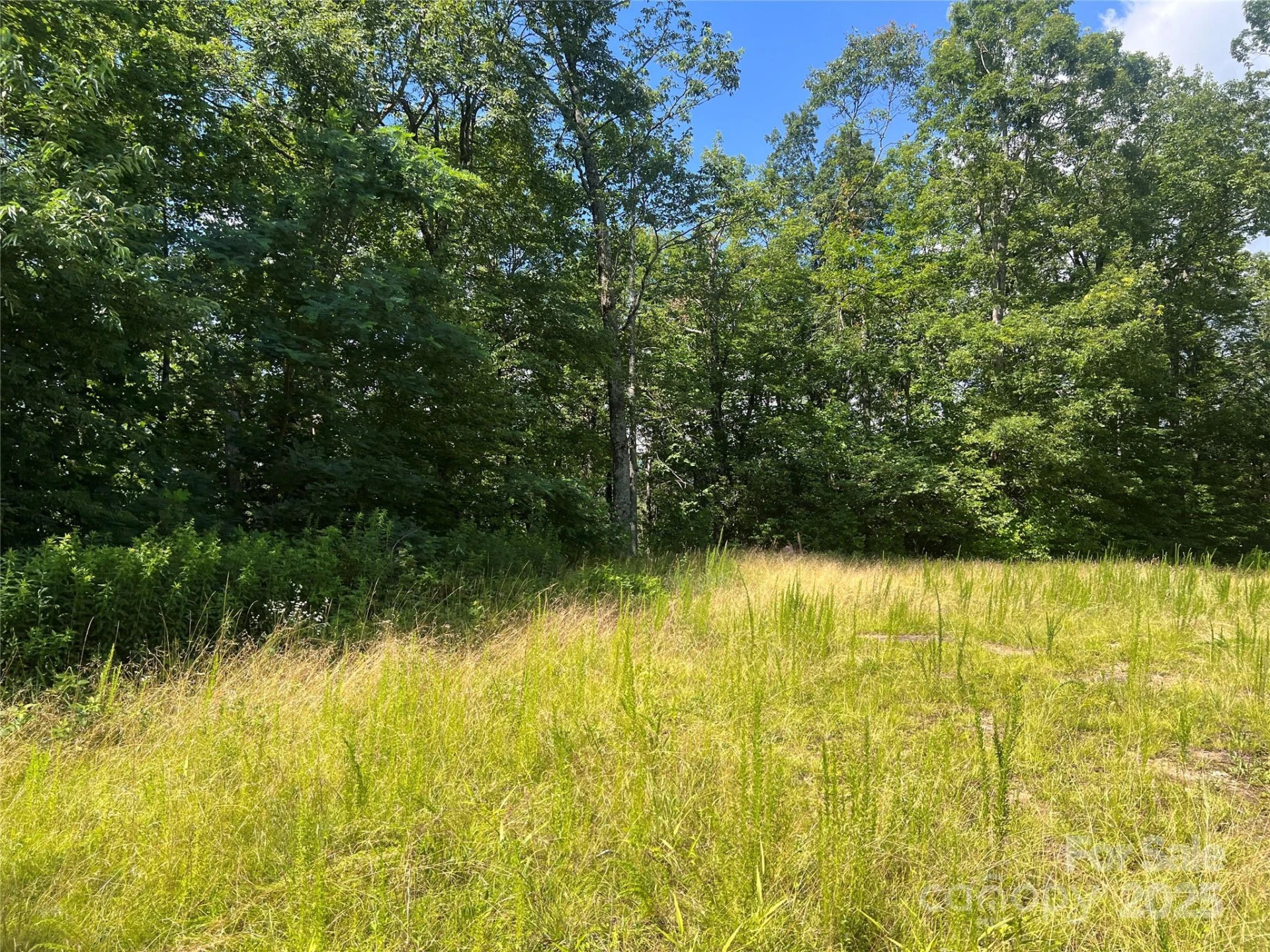 100 Mountain Field Lane - Photo 24