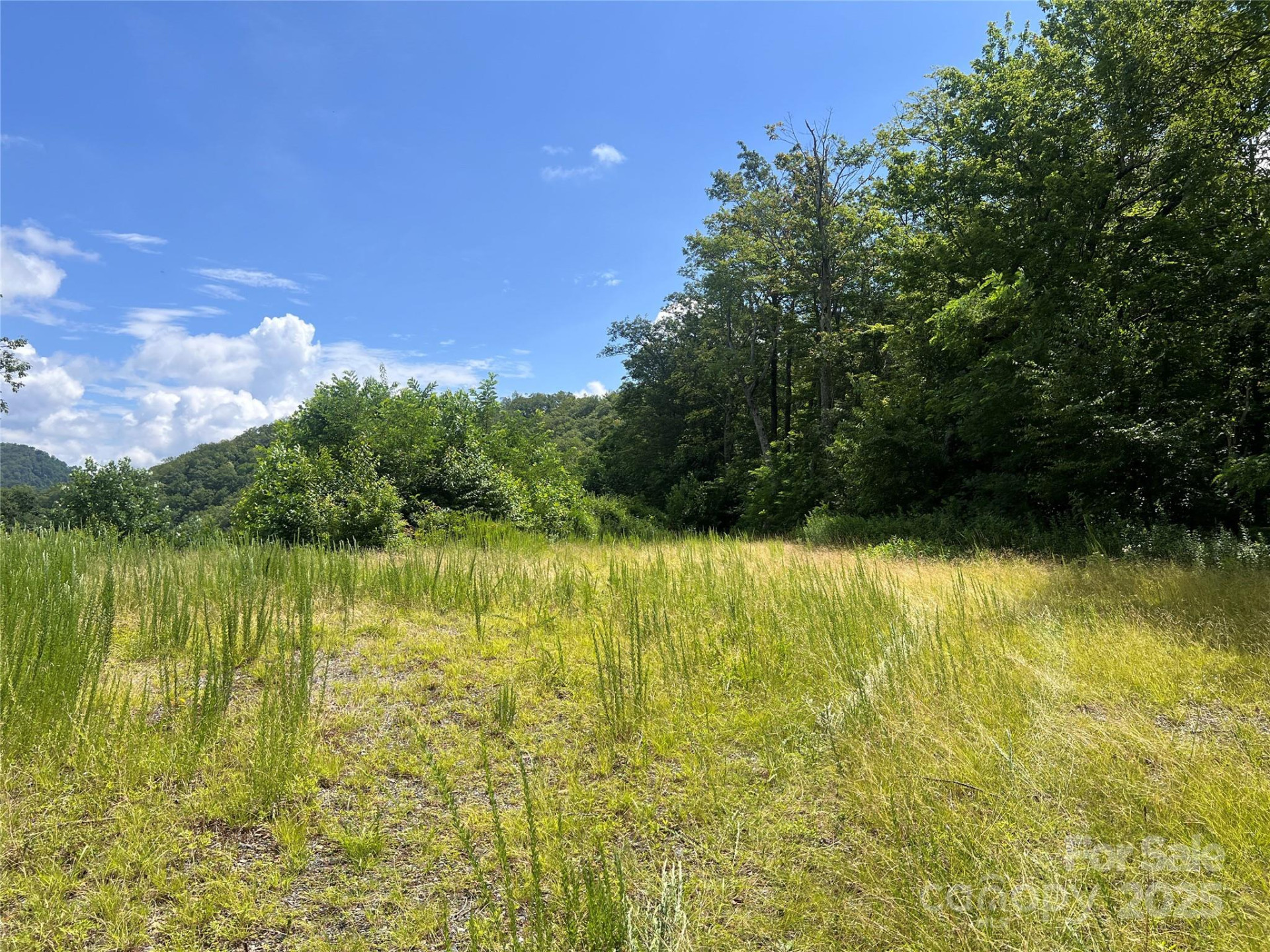 100 Mountain Field Lane - Photo 25