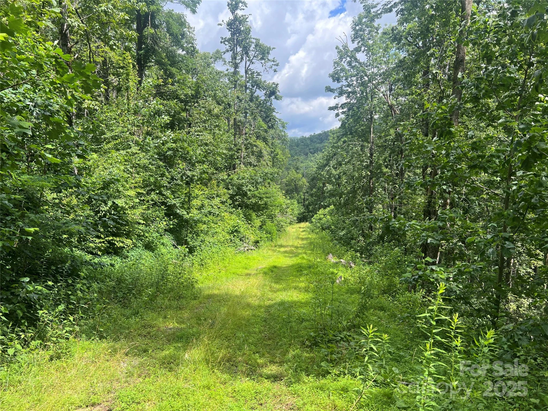 100 Mountain Field Lane - Photo 27