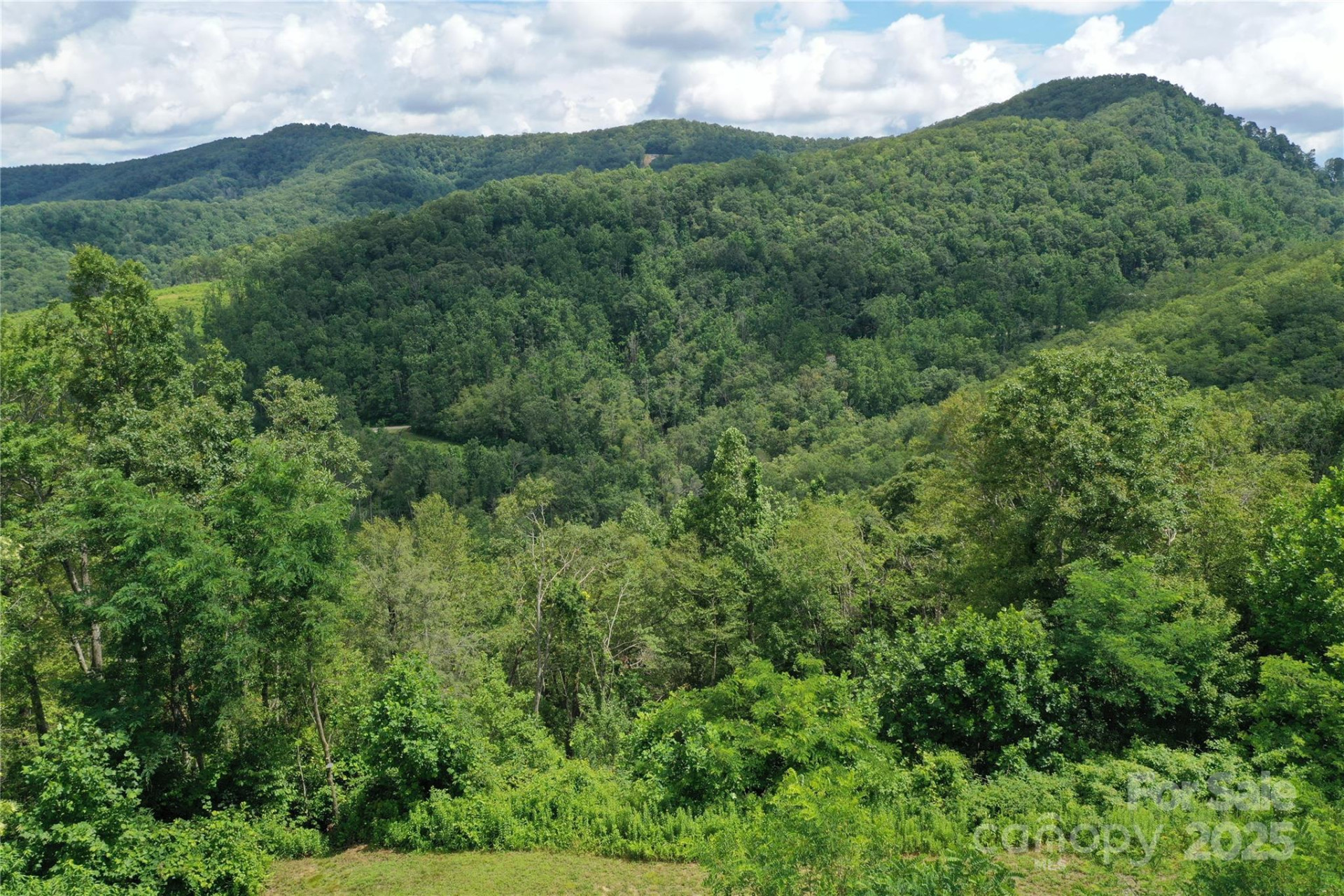 100 Mountain Field Lane - Photo 28