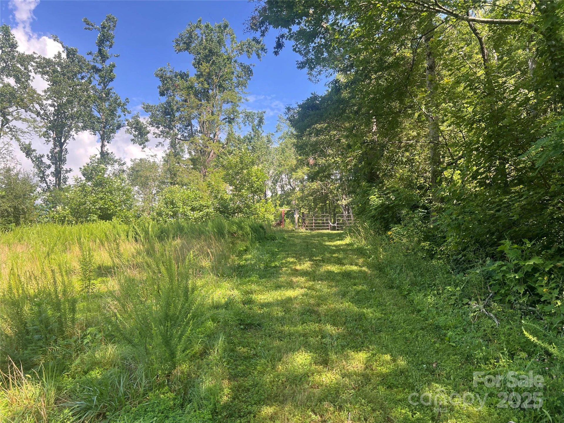 100 Mountain Field Lane - Photo 4