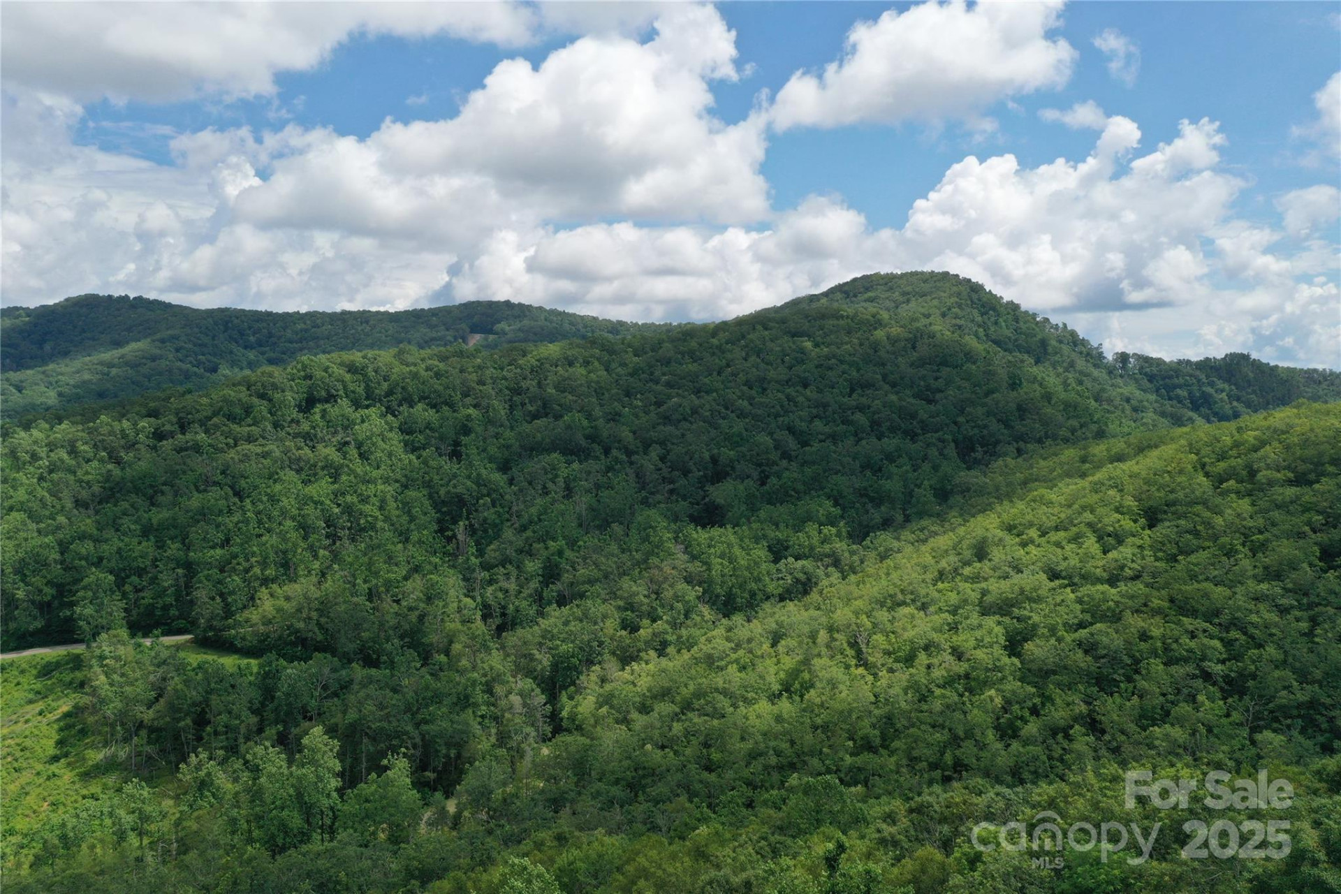 100 Mountain Field Lane - Photo 31