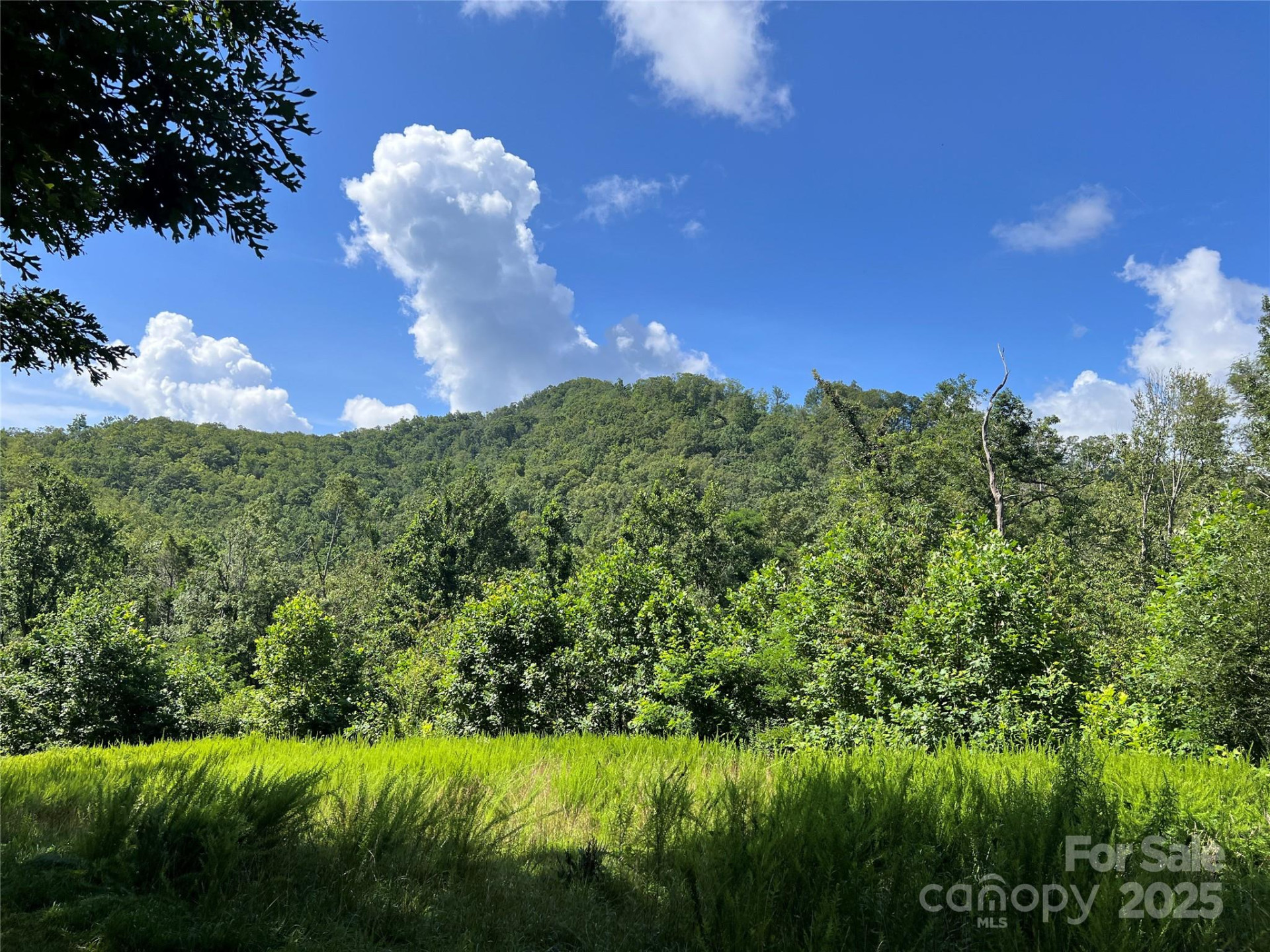 100 Mountain Field Lane - Photo 5