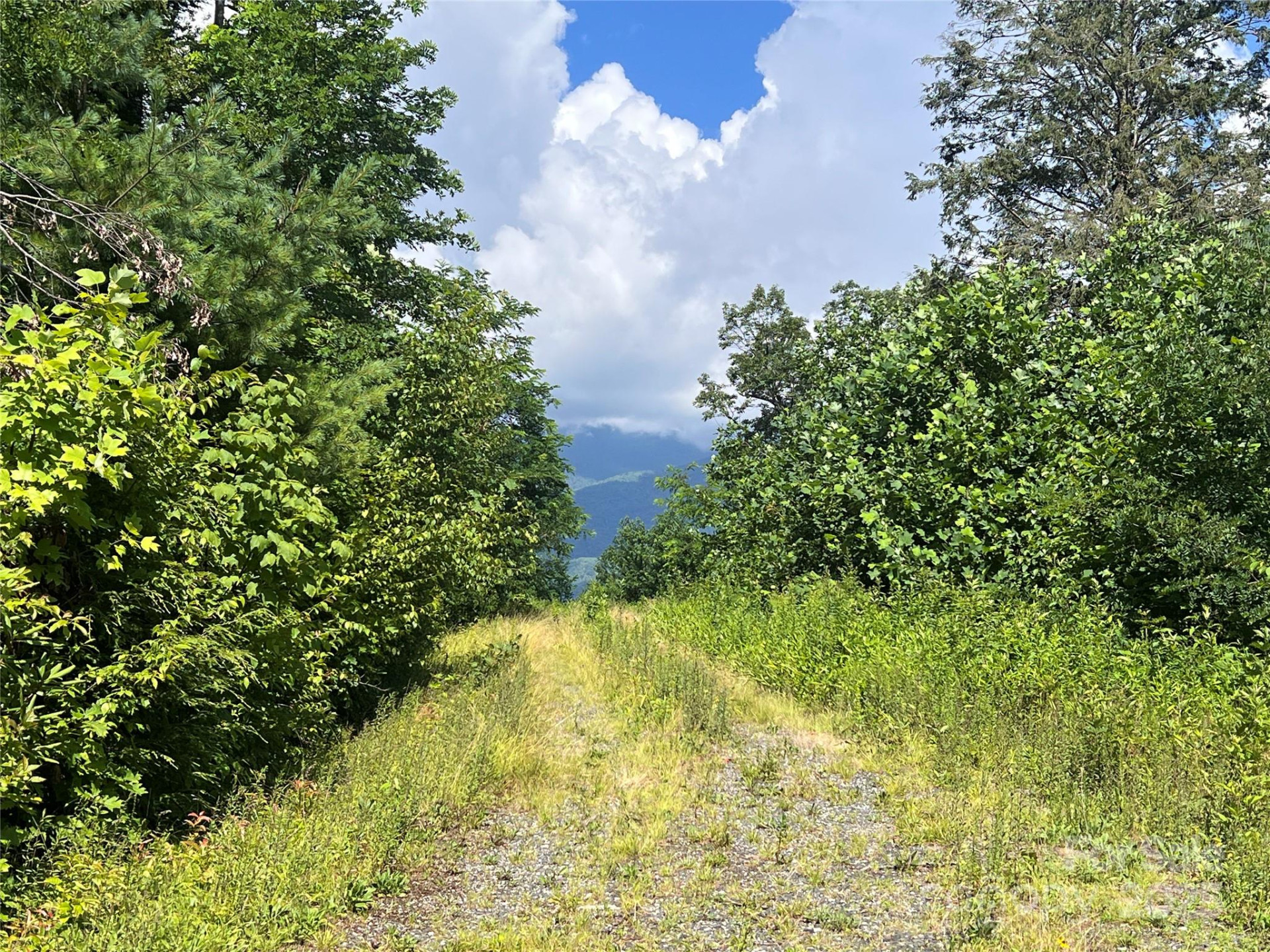 100 Mountain Field Lane - Photo 6