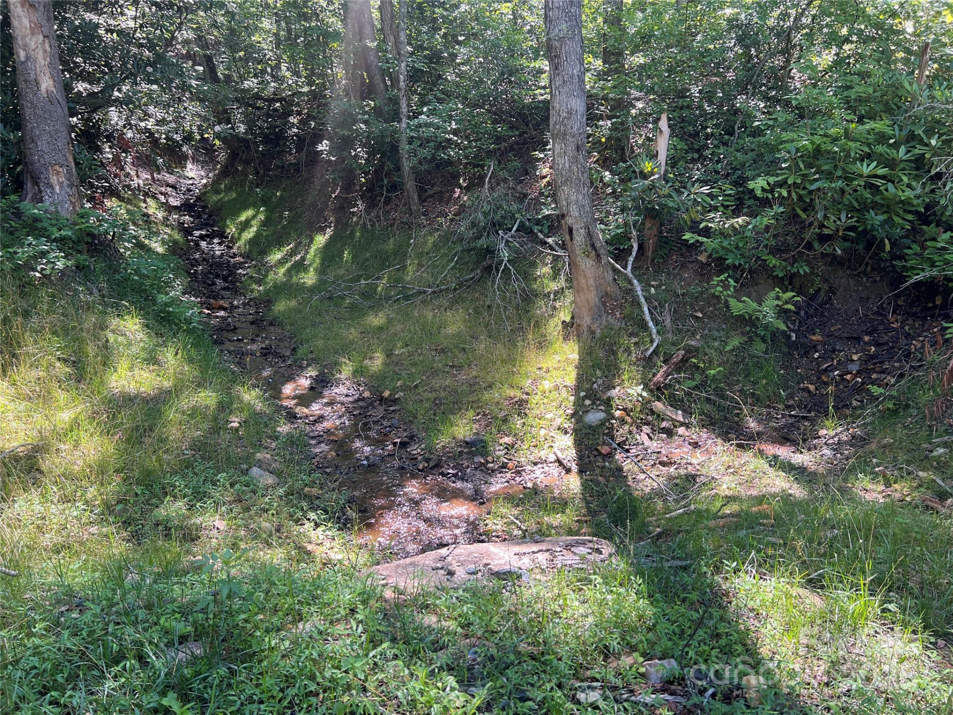 100 Mountain Field Lane - Photo 7