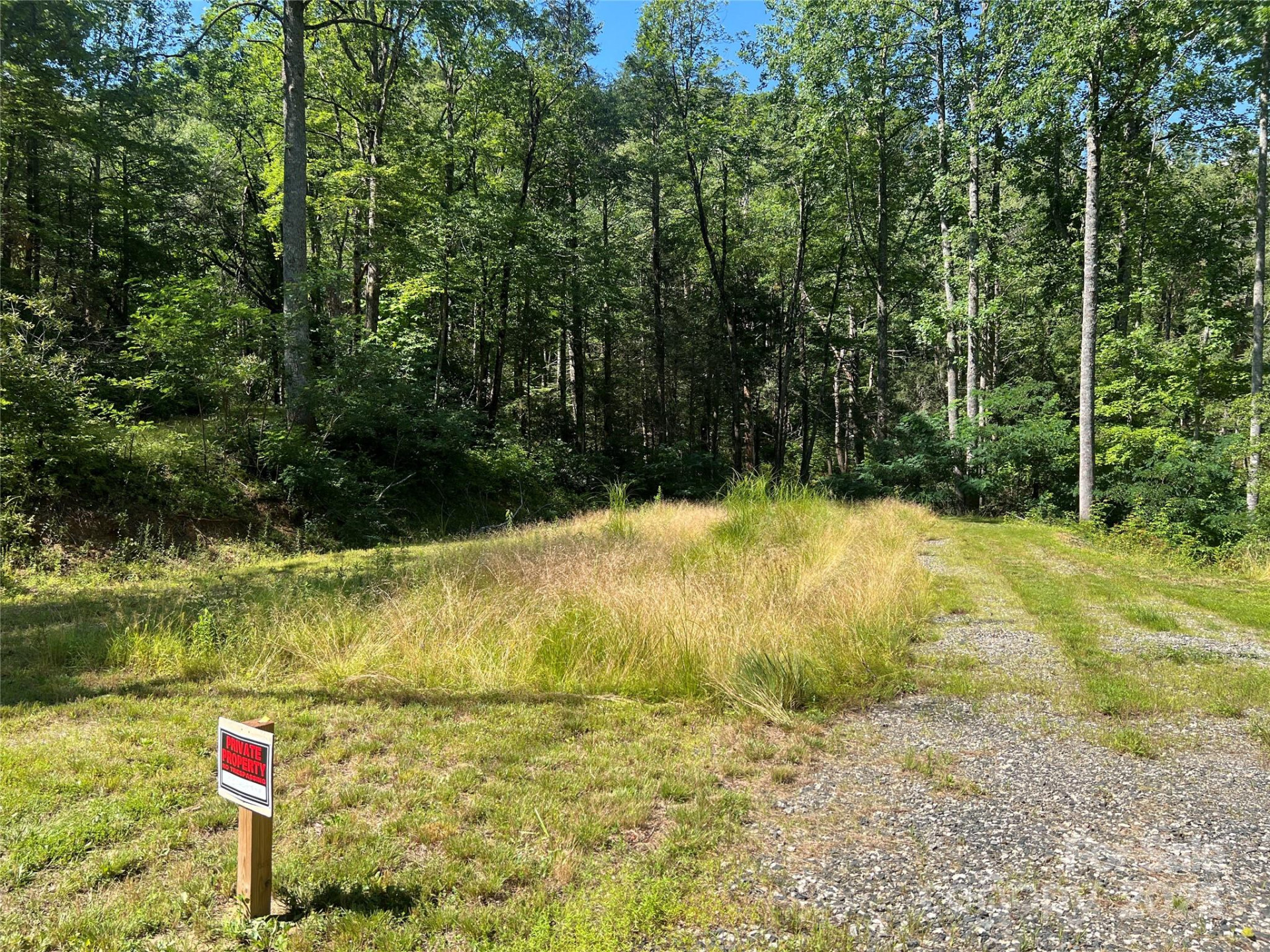 100 Mountain Field Lane - Photo 8