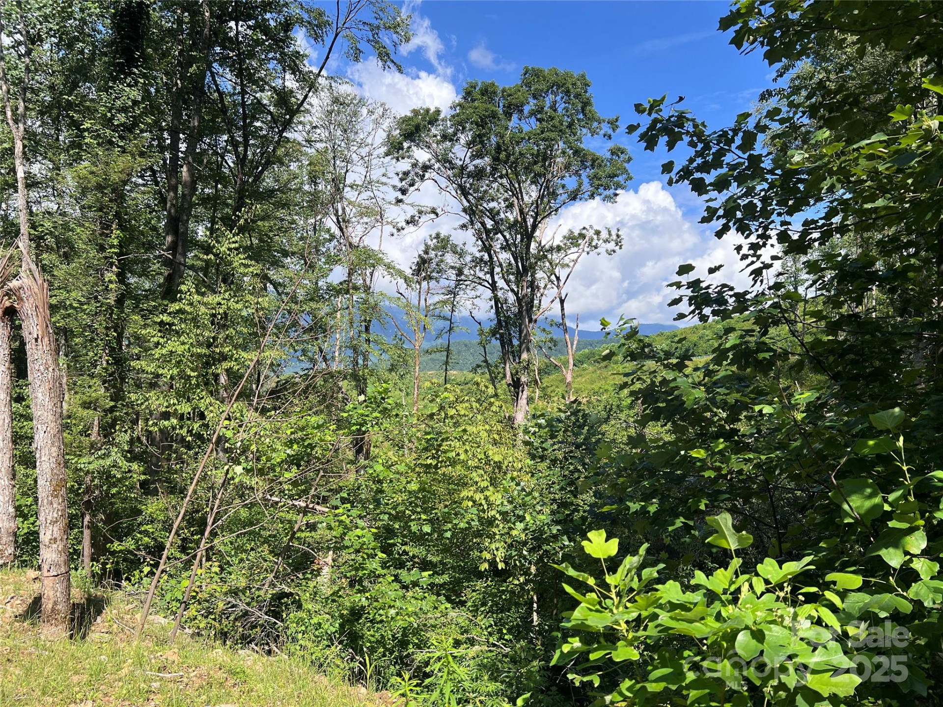 100 Mountain Field Lane - Photo 9