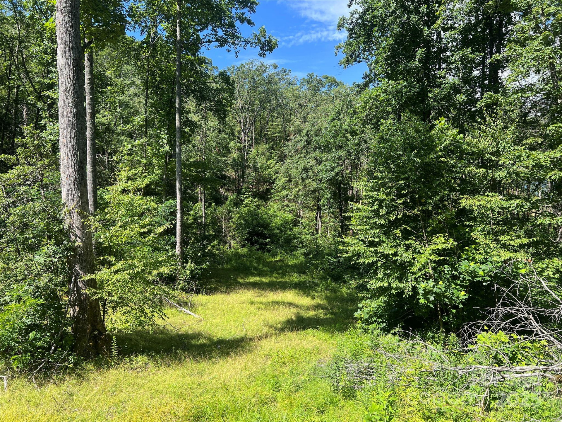 100 Mountain Field Lane - Photo 10