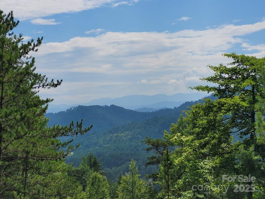 0 Oconee Drive - Photo 2