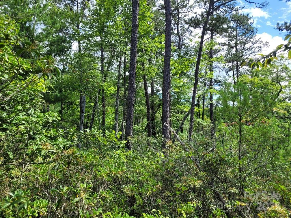 0 Oconee Drive - Photo 16