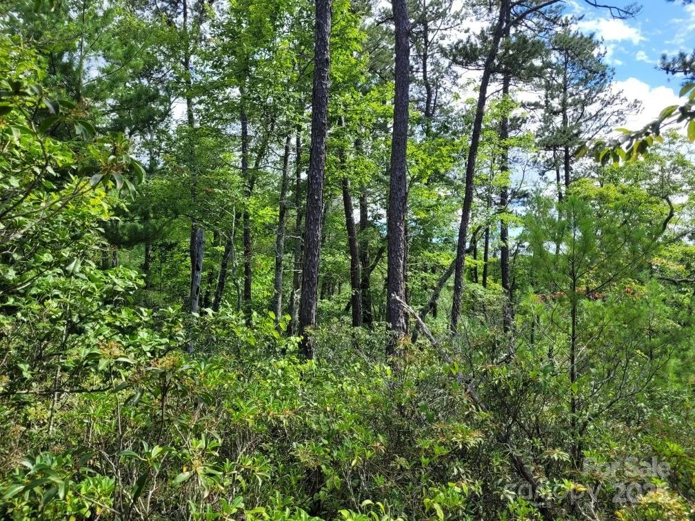 0 Oconee Drive - Photo 16