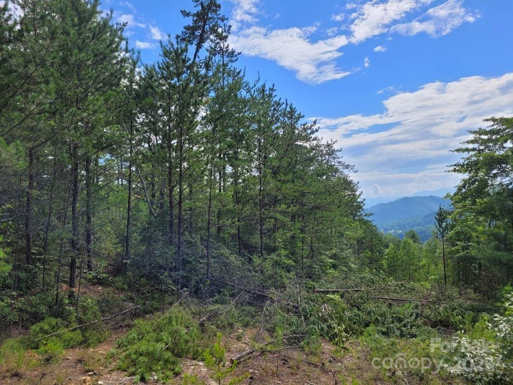 0 Oconee Drive - Photo 20