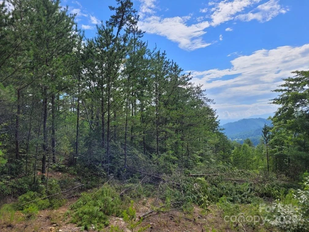 0 Oconee Drive - Photo 20