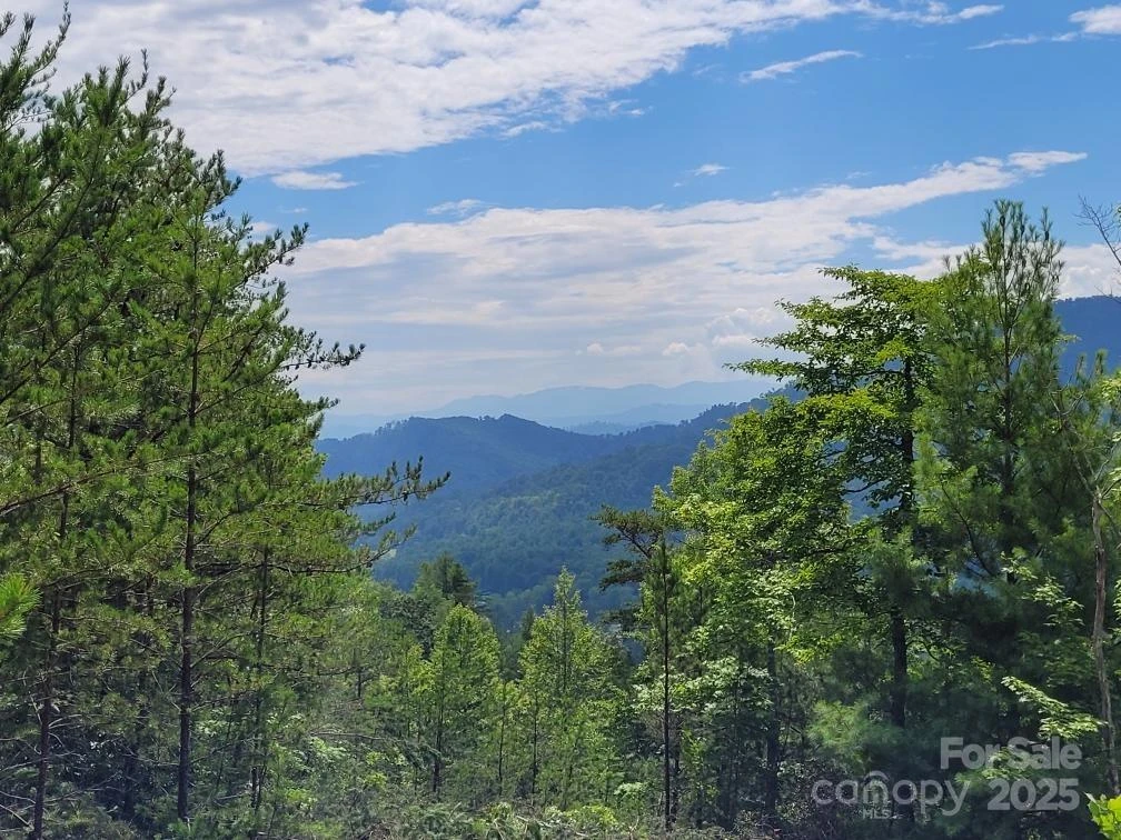 0 Oconee Drive - Photo 3