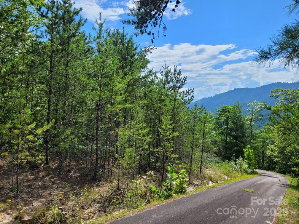 0 Oconee Drive - Photo 22