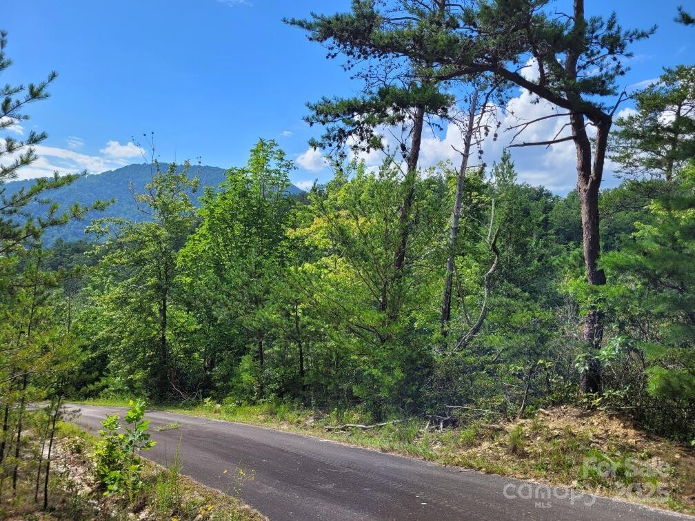 0 Oconee Drive - Photo 23