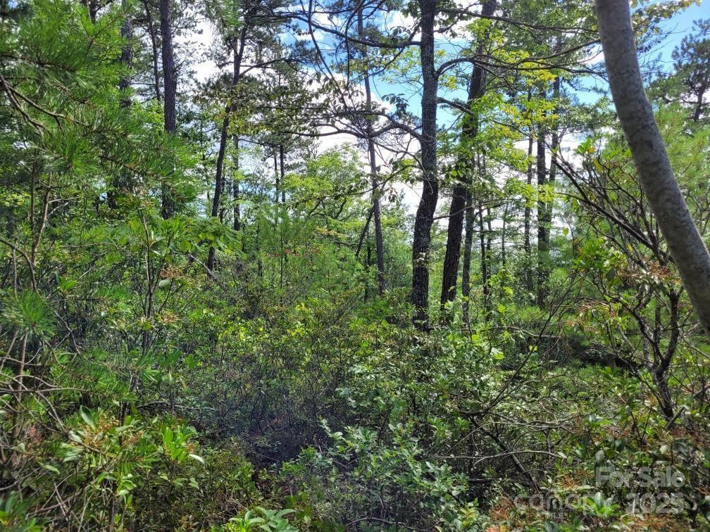 0 Oconee Drive - Photo 25