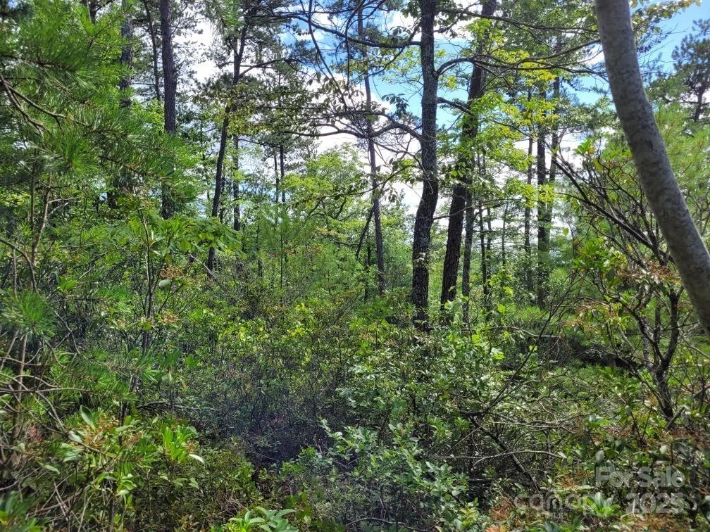 0 Oconee Drive - Photo 25
