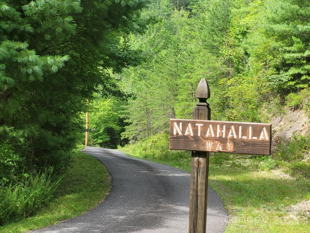 0 Oconee Drive - Photo 5