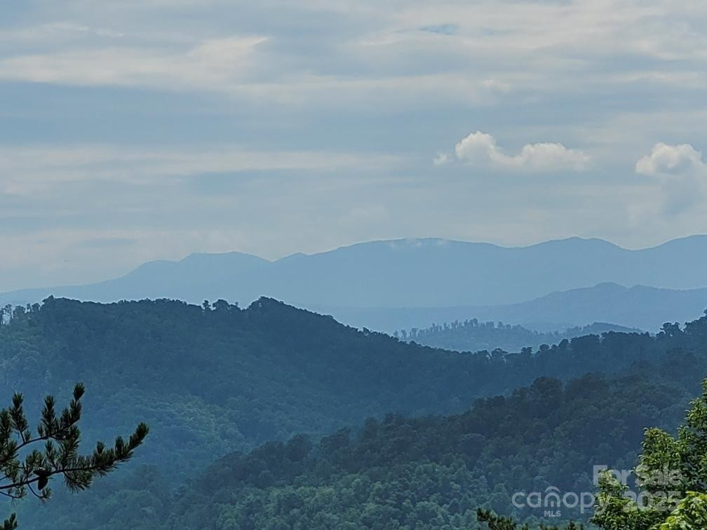 0 Oconee Drive - Photo 7