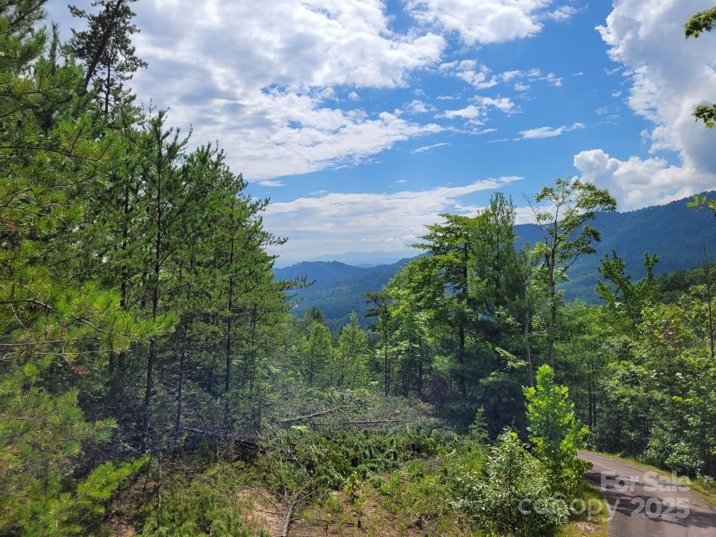 0 Oconee Drive - Photo 9