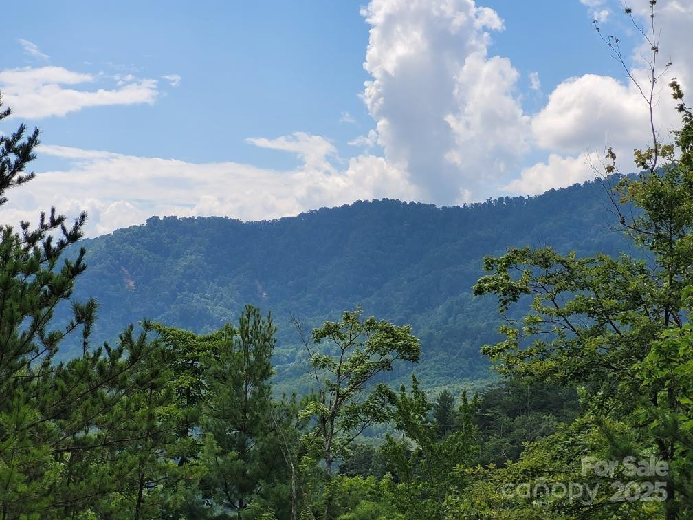 0 Oconee Drive - Photo 10