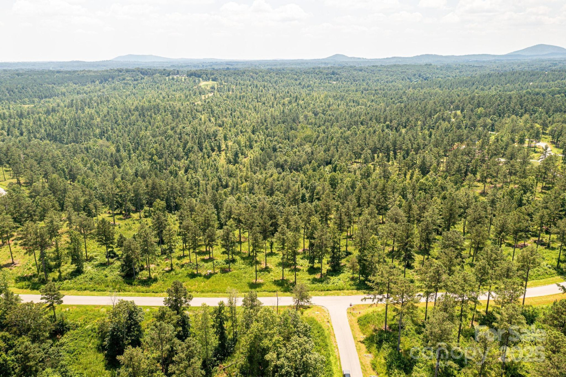 2266 Jumping Run - Photo 2