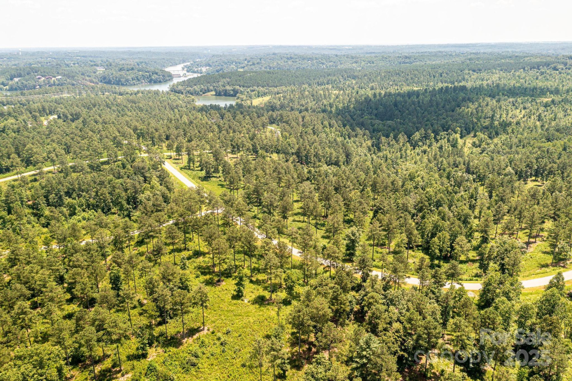 2266 Jumping Run - Photo 4