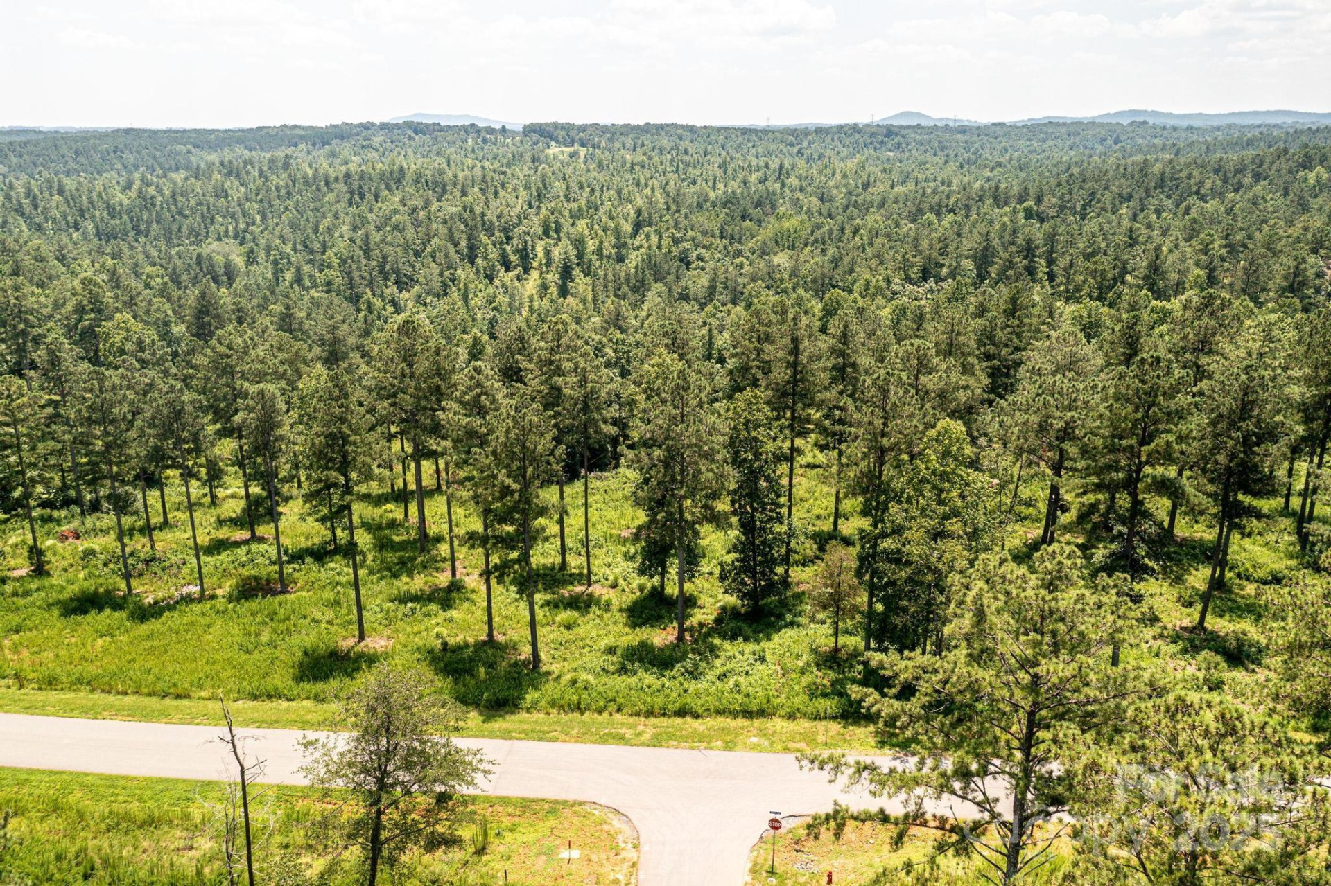 2266 Jumping Run - Photo 5