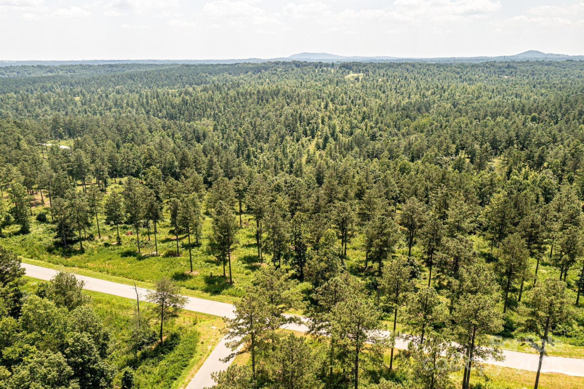 2266 Jumping Run - Photo 6