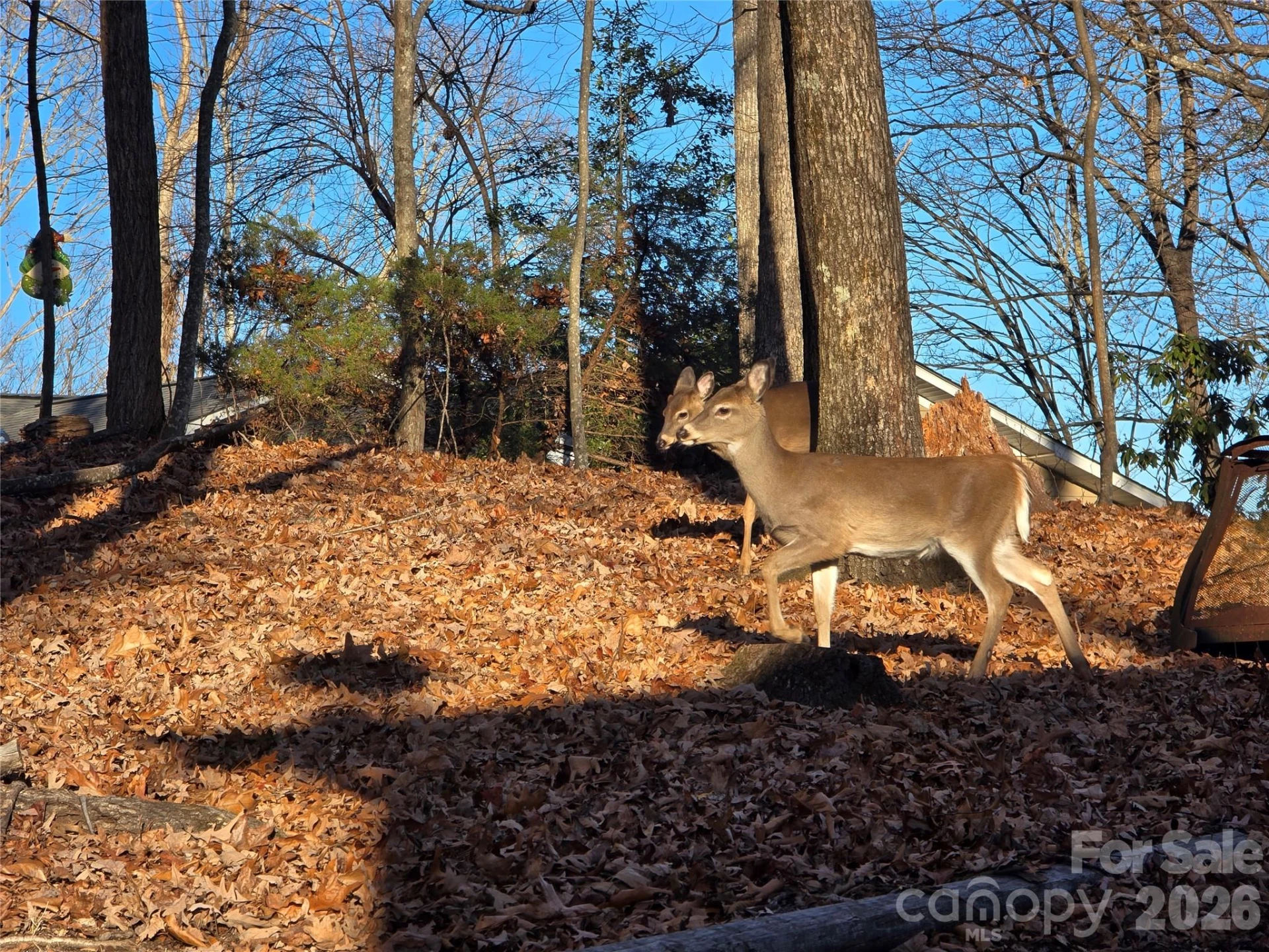 10 Chestnut Ridge Road - Photo 83