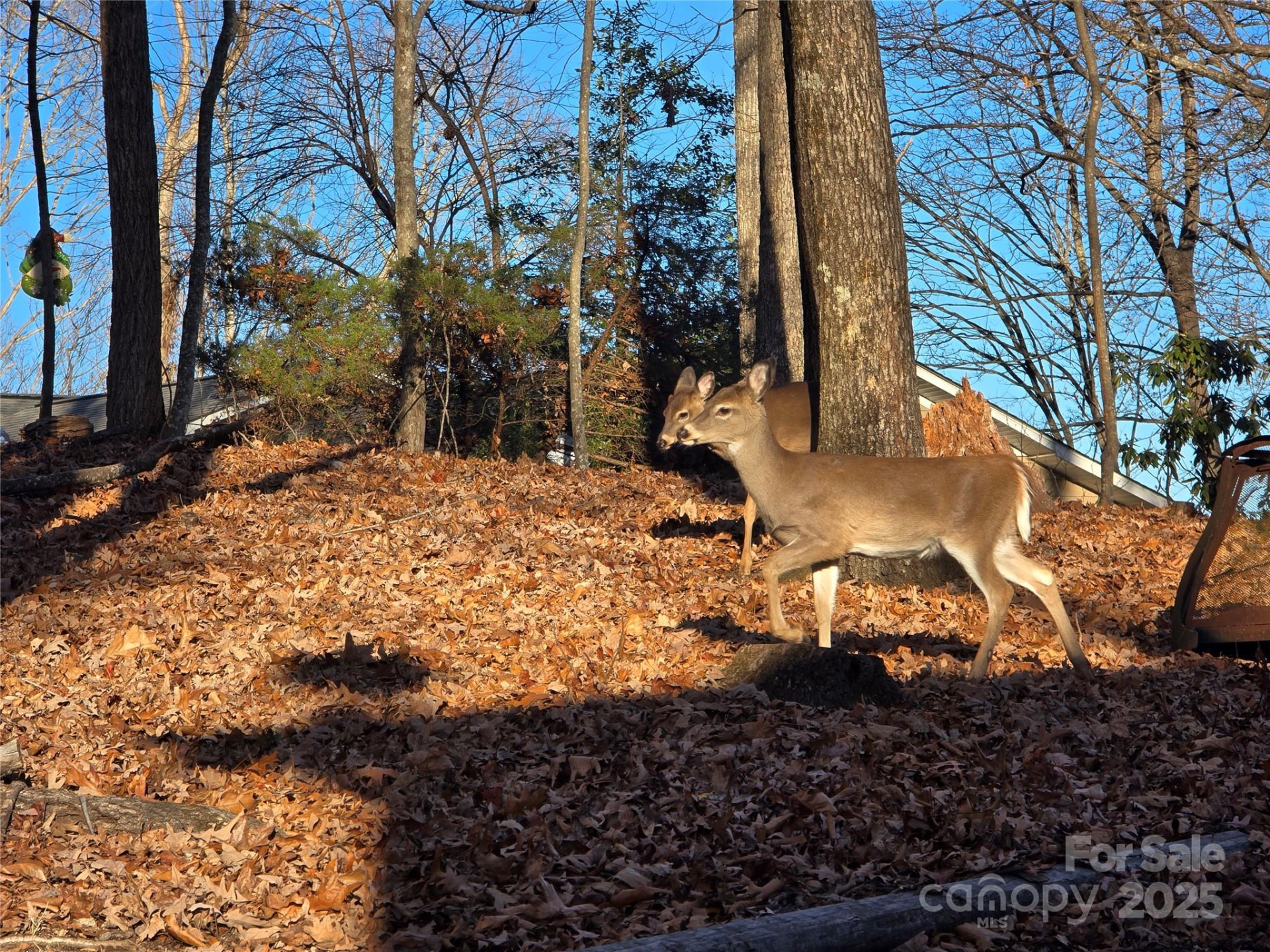 10 Chestnut Ridge Road - Photo 45