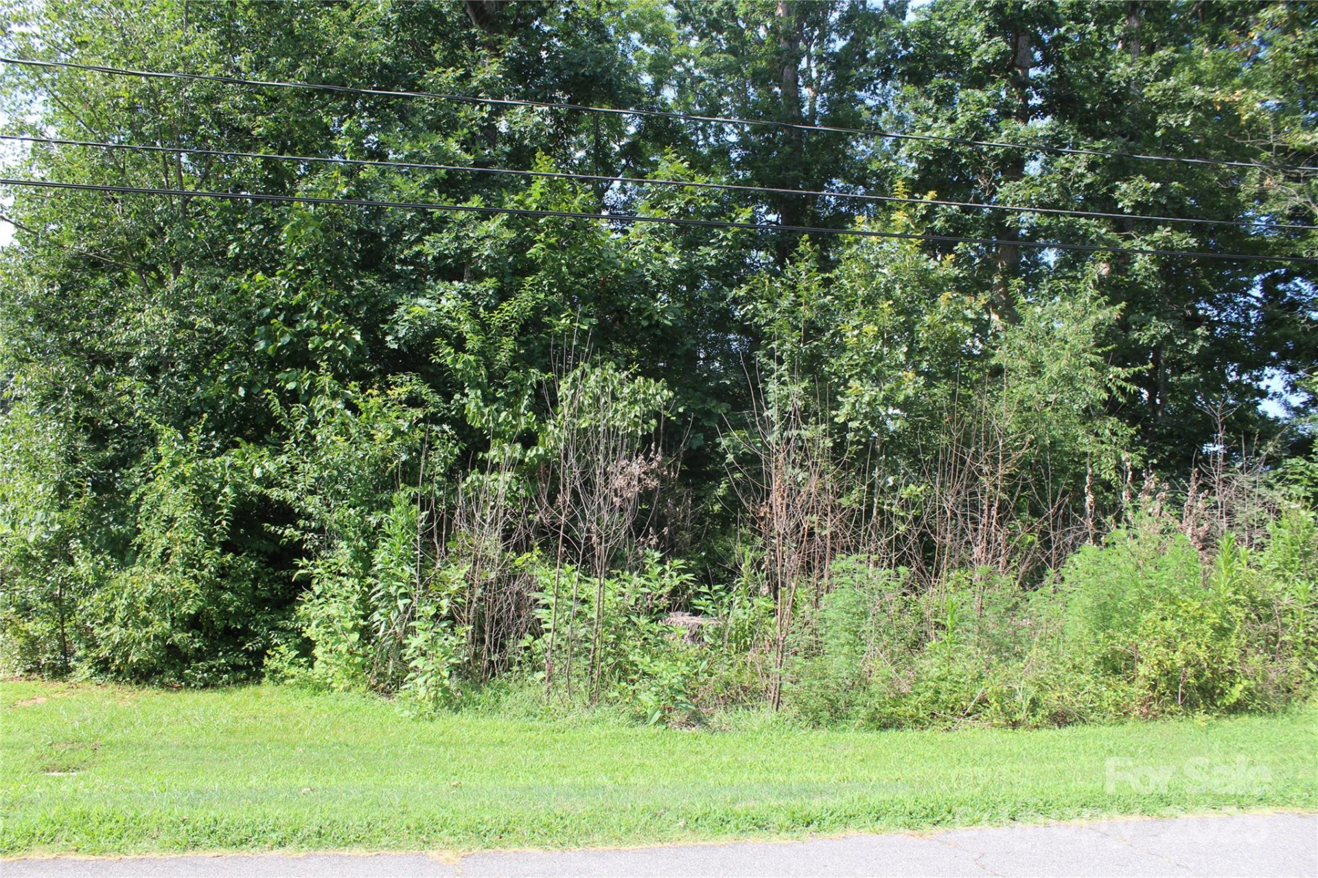 3143 2nd Street - Photo 4