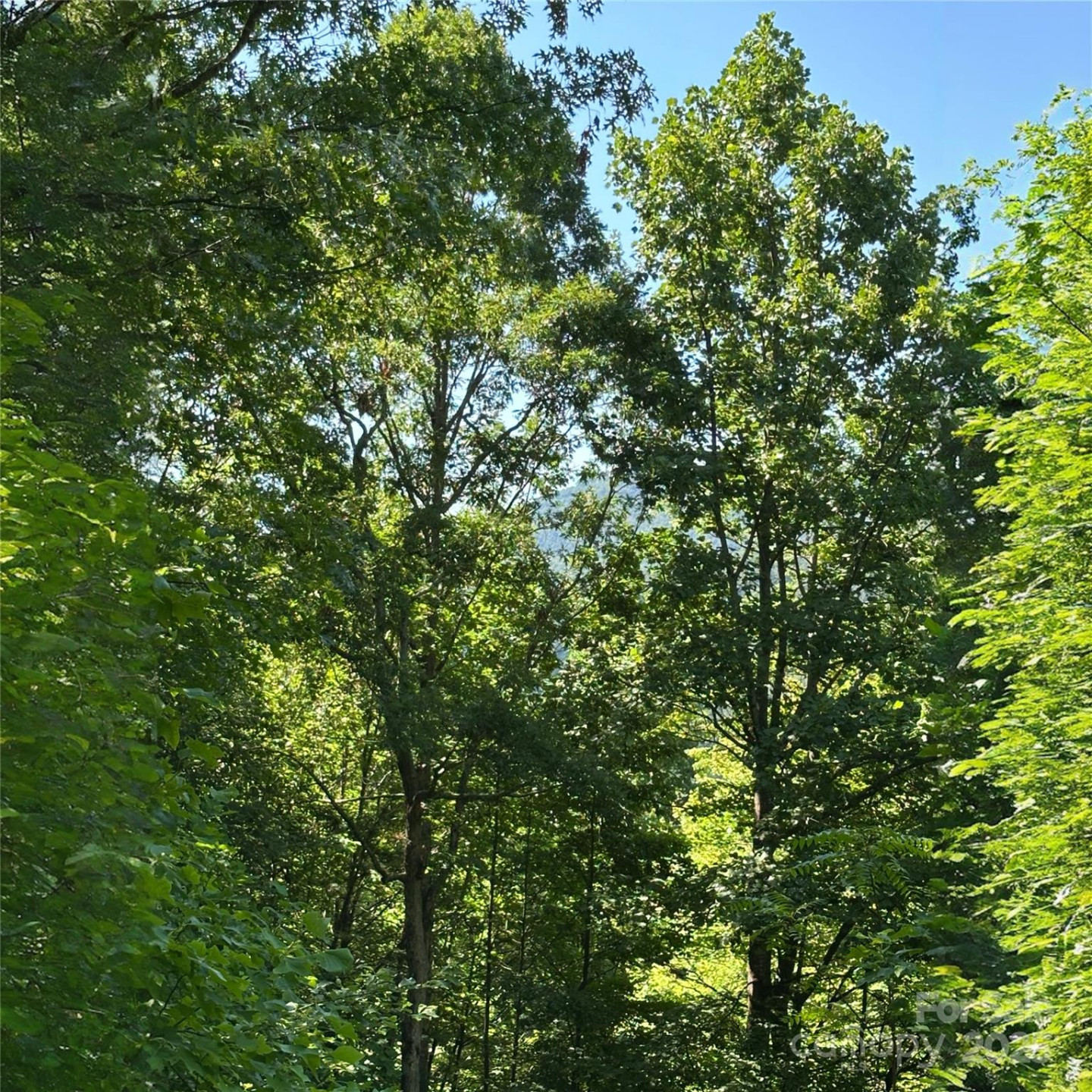 33 Nuthatch Lane #T-84 - Photo 3